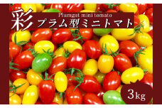 サザキ農園 ミニトマト彩りセット （ プラム型 ） 3kg | 野菜 やさい トマト とまと ミニトマト カラフル 彩り セット 熊本県 玉名市