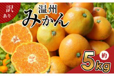 訳あり 温州 みかん 約 5kg | フルーツ 果物 くだもの 柑橘 ミカン みかん 温州ミカン 熊本県 玉名市