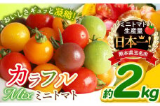 ミニトマト 生産量 日本一 玉名市 !! 彩りセット （ミックス） 2kg | カラフル トマト とまと トマト ミニトマト トマト ミニトマト 熊本県 サザキ農園  トマト ミニトマト