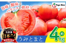 玉名市産 トマト 「 うみとまと 」 4kg ｜ 大玉 トマト 野菜 新鮮 高糖度 熊本県 玉名市 くまもと たまな