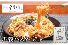 五穀パスタ 4.7kg | 食品 麺類 乾麺 パスタ 五穀パスタ 熊本県 玉名市