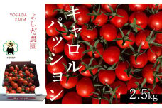 ミニトマト 『 キャロルパッション 』 約2.5kg よしだ農園 | 野菜 やさい トマト とまと 完熟 熊本県 玉名市