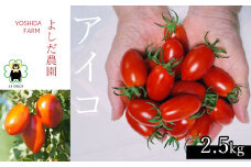 ミニトマト 『 アイコ （ 赤色 ） 』 約2.5kg よしだ農園 | 野菜 やさい トマト とまと 完熟 熊本県 玉名市