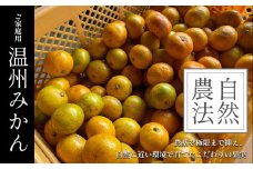 ご家庭用 温州みかん 5kg 《大草農園》 ｜ 果物 くだもの フルーツ 柑橘 柑橘類 みかん 温州 家庭用 熊本県 玉名市
