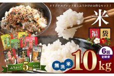 【定期6回】 こめ 福袋 無洗米 10kg 九州 グルメ ふりかけ 5品 ～ うに ふりかけ と 4種 の お楽しみ ふりかけ ～ ｜ 米 無洗米 ふりかけ 定期便 熊本県 玉名市 くまもと たまな