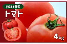 かめまる農園 トマト 4kg | 野菜 やさい とまと 完熟 熊本県 玉名市