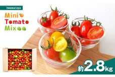 『岩村屋』ミニトマトミックス 約2.8kg | 果物 トマト ミニトマト 熊本 玉名