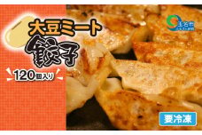 大豆ミート餃子 120個 | 食品 加工食品 中華 大豆ミート 餃子 ぎょうざ 冷凍 惣菜 熊本県 玉名市