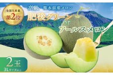 メロン 2玉 肥後グリーン or アールスメロン | 果物 フルーツ 高級 マスクメロン メロン めろん 青肉 高糖度 メロン ご家庭用 メロン たっぷり メロン 熊本県 玉名市