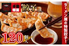 「 玉名拉麺 千龍 」 特製 餃子 120個 | 食品 中華 ぎょうざ 特製餃子 熊本県 玉名市