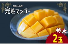 完熟マンゴー 特大サイズ2玉 熊本県産 | フルーツ 果物 くだもの 完熟 マンゴー 熊本県 玉名市