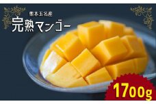 完熟マンゴー 約1700g 熊本県産 | フルーツ 果物 くだもの 完熟 マンゴー 熊本県 玉名市