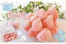 ＜ 冷凍 ＞ 白いちご 「 淡雪 」 約400g × 2P | フルーツ 果物 くだもの 冷凍フルーツ 冷凍いちご いちご イチゴ 苺 あわゆき 熊本県 玉名市