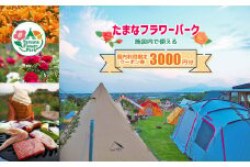 たまなフラワーパークで使える  ＜ 園内利用限定 ＞ クーポン券 3000円分 | イベント チケット クーポン たまなフラワーパーク 園内 熊本県 玉名市