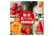 【 定期便6回 】 熊本食べつくし 定期 （ 訳あり品 ） | いちご 不知火 トマト すいか メロン 焼海苔 米 みかん ランダム 熊本県 玉名市