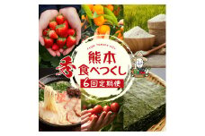 【 定期便6回 】 熊本食べつくし 定期 （ 秀品 ） | いちご 不知火 ミニトマト 海苔 うにふりかけ 玉名餃子 玉名ラーメン 新米 みかん 季節 定期 定期便 熊本県 玉名市