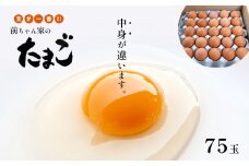 新鮮 生が一番 前ちゃん家のたまご 赤玉子 75玉 | 玉子 たまご 卵 赤卵 旨味 Mサイズ Lサイズ 新鮮 卵かけごはん 朝食 こだわり 熊本県 玉名市