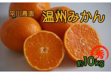 平川さんちの温州みかん 10kg | フルーツ 果物 くだもの 柑橘 柑橘類 みかん ミカン 温州みかん 温州ミカン 熊本県 玉名市