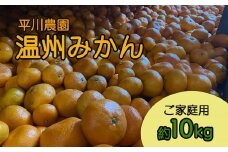 平川さんちの温州みかん （ ご家庭用 ） 10kg | フルーツ 果物 くだもの 柑橘 柑橘類 みかん ミカン 温州みかん 温州ミカン 熊本県 玉名市