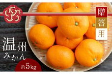 【 贈答用 】 温州みかん 約5kg | フルーツ 果物 くだもの 柑橘 柑橘類 みかん ミカン 温州ミカン ギフト 熊本県 玉名市