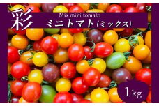 サザキ農園 ミニトマト彩りセット （ ミックス ） 1kg | 野菜 やさい トマト とまと ミニトマト カラフル 彩り セット 熊本県 玉名市