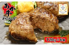 あか牛 ハンバーグ 120g×6個