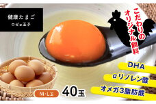 健康たまご ロゼa玉子 40玉 | 玉子 たまご 卵 旨味 Mサイズ Lサイズ 新鮮 卵かけごはん 朝食 こだわり 熊本県 玉名市
