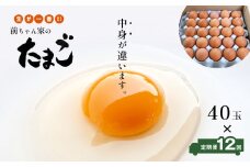 【 定期便12回 】 前ちゃん家のたまご 赤玉子 40玉×12回 | 玉子 たまご 卵 赤卵 旨味 Mサイズ Lサイズ 新鮮 卵かけごはん 朝食 こだわり 定期便 40玉 12回 熊本県 玉名市
