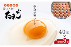 【 定期便3回 】 前ちゃん家のたまご 赤玉子 40玉×3回 | 玉子 たまご 卵 赤卵 旨味 Mサイズ Lサイズ 新鮮 卵かけごはん 朝食 こだわり 定期便 40玉 3回 熊本県 玉名市