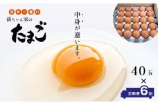 【 定期便6回 】 前ちゃん家のたまご 赤玉子 40玉×6回 | 玉子 たまご 卵 赤卵 旨味 Mサイズ Lサイズ 新鮮 卵かけごはん 朝食 こだわり 定期便 40玉 6回 熊本県 玉名市