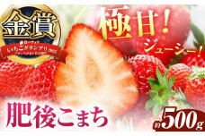 数量限定 ご家庭用 いちご 肥後こまち 約250g×2パック | 果物 くだもの フルーツ いちご 苺 イチゴ 肥後こまち 家庭用 希少 熊本県 玉名市