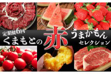 【 定期便 6回 】 くまもとの赤 うまかもんセレクション | （ さつまいも いちご ミニトマト スイカ あか牛 馬刺し ） 1年 熊本 フルーツ 果物 肉 牛肉 トマト 熊本県 玉名市
