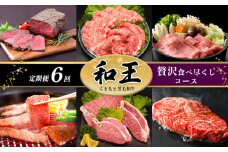【 定期便 6回 】 和王 贅沢食べ尽くしコース A5 等級 牛肉 | 肉 にく お肉 おにく 牛 和牛 モモスライス 小間切れ 赤身ブロック ウデ モモ 焼肉 肩ローススライス モモステーキ 熊本県 玉名市