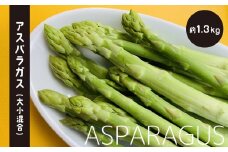 アスパラガス（ 大小混合 ） 約1.3kg | 野菜 やさい アスパラガス グリーン 熊本県 玉名市