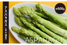 アスパラガス（ 大小混合 ） 約600g | 野菜 やさい アスパラガス グリーン 熊本県 玉名市