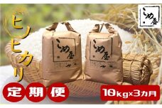 【定期便3回】 熊本県産 「 ヒノヒカリ 」 10kg × 3カ月 | 米 こめ お米 おこめ 白米 精米 熊本県 玉名市 定期 定期便