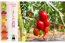 『 よしだ農園 』 ミニトマト ( スイート ) 約2.5kg | 野菜 やさい トマト とまと 熊本県 玉名市