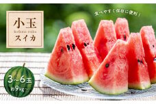 小玉 スイカ 3～6玉 『 かめまる食堂 』 | フルーツ 果物 くだもの すいか 西瓜 熊本県 玉名市
