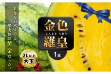 大玉 スイカ 金色羅皇 1玉 『 かめまる食堂 』 | フルーツ 果物 くだもの すいか 西瓜 金 熊本県 玉名市