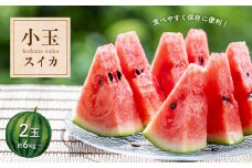 小玉 スイカ 2玉 『 かめまる食堂 』 | フルーツ 果物 くだもの すいか 西瓜 熊本県 玉名市