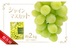 シャインマスカット 約 2kg （3～4房） 贈答用 | フルーツ 果物 くだもの ブドウ ぶどう 葡萄 シャイン マスカット 贈答 ギフト 熊本県 玉名市