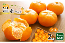 温室 みかん 小玉 約 2kg | 果物 みかん フルーツ 熊本 玉名
