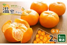 温室 みかん 小玉 約 2kg | 果物 みかん フルーツ 熊本県 玉名市