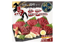 【 定期便 6ヶ月 】 熊本の味 純 国産 馬刺し 満喫 セット 約420g 馬肉 専用タレ付 馬肉 | 肉 にく お肉 おにく 馬 馬刺 上霜降り 赤身 タタキ 専用タレ おろし生姜 定期 熊本県 玉名市