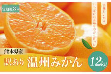 【 定期便 3回】 訳あり 温州 みかん 12kg | 果物 フルーツ みかん 温州みかん 訳あり 定期便 熊本 玉名