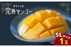 完熟マンゴー 5L×1玉 ｜ 果物 くだもの フルーツ マンゴー 5L 1玉 旬 夏 高糖度 熊本県 玉名市