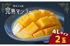 完熟マンゴー 4L×2玉  ｜ 果物 くだもの フルーツ マンゴー 4L 2玉 旬 夏 高糖度 熊本県 玉名市