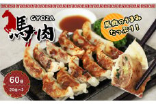馬肉 餃子 60個 （ 20個 × 3 ） | 食品 加工品 肉 お肉 馬肉 餃子 ぎょうざ 一口サイズ 熊本県 玉名市