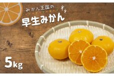 『 みかん王国 』 の 早生みかん 5kg | フルーツ 果物 くだもの 柑橘 柑橘類 みかん ミカン 早生ミカン 熊本県 玉名市