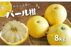 『 みかん王国 』 の パール柑 8kg | フルーツ 果物 くだもの 柑橘 柑橘類 みかん ミカン 熊本県 玉名市
